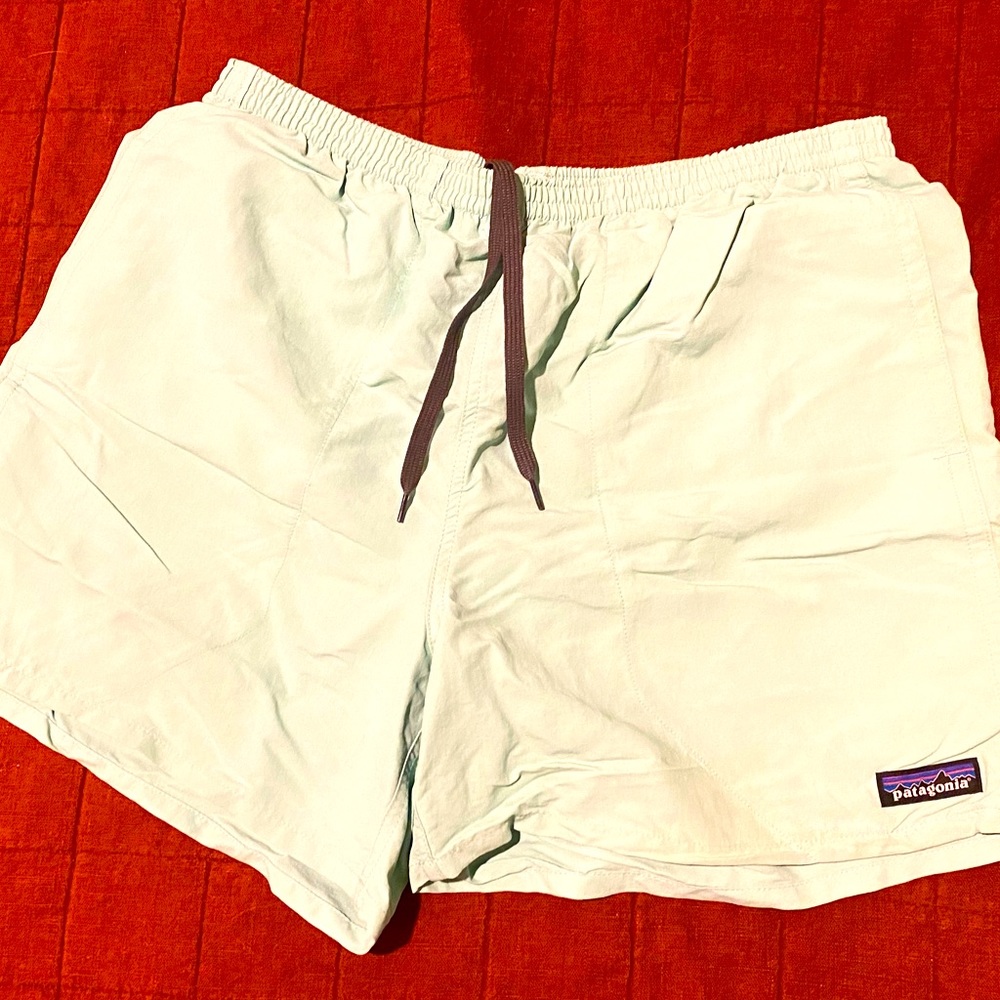 Mint Patagonia Mens Swim Trunks